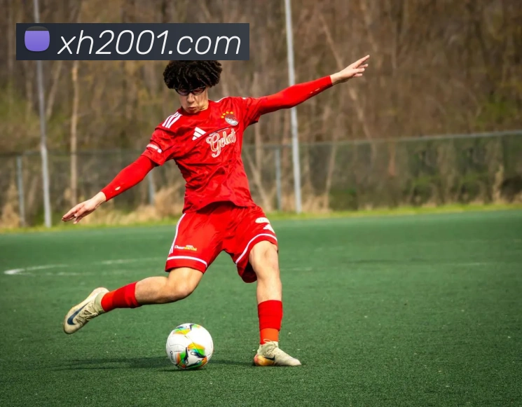 互动解说服务